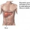 Hepatita virala B - generalitati