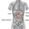 Abcesul pancreatic