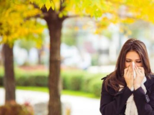 Raceala, gripa si alergia: diferentele dintre ele si tratamentul corect