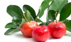 Vitamina C din fructul de Acerola – cel mai puternic antioxidant