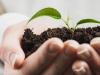 Articol_Iminitatea_si_substantele_active_din_plante-2.jpg