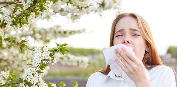 Alergii sezoniere - alergia de primavara Alergii sezoniere - alergia de primavara
