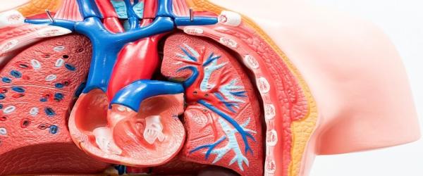 Ce este persistența de canal arterial? ne spune Dr. Cristian Bulescu, medic specialist chirurgie cardiovasculară Ce este persistența de canal arterial? ne spune Dr. Cristian Bulescu, medic specialist chirurgie cardiovasculară