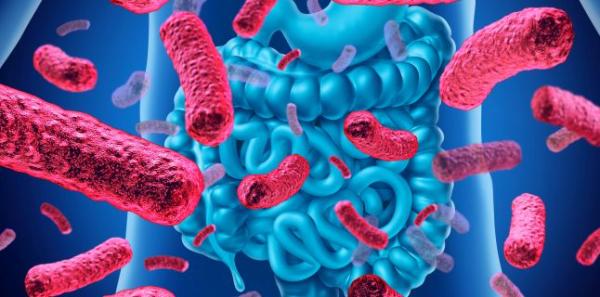 Cand si de ce se administreaza probioticele? Cand si de ce se administreaza probioticele?