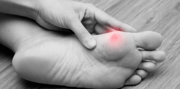 Bataturile: remedii si prevenire Bataturile: remedii si prevenire