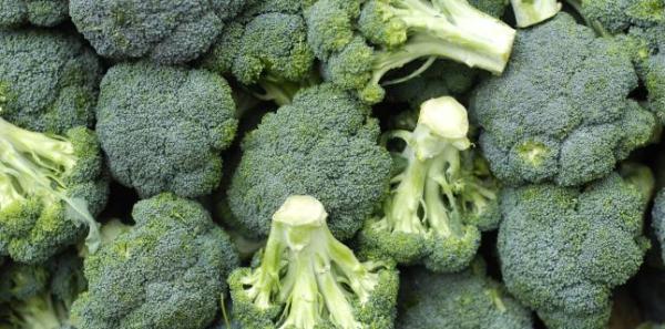 Broccoli, proprietati binefacatoare Broccoli, proprietati binefacatoare