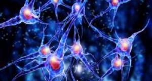 Celulele STEM – solutia de viitor a unor boli din prezent