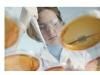 conferinta_microbiologie.jpg