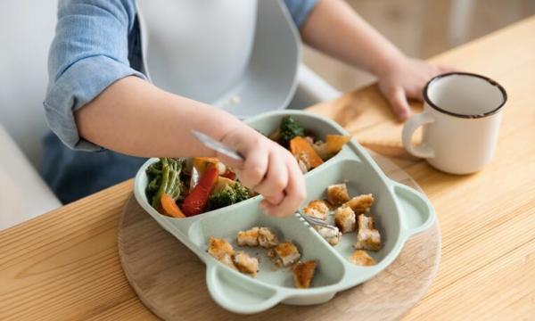 Rolul alimentatiei sanatoase in dezvoltarea copilului Rolul alimentatiei sanatoase in dezvoltarea copilului
