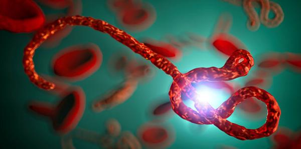 Ebola: simptome, cauze, tratament si preventie Ebola: simptome, cauze, tratament si preventie