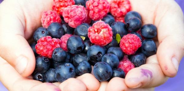6 moduri delicioase de a va bucura de fructele de padure proaspete 6 moduri delicioase de a va bucura de fructele de padure proaspete