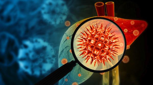 Pericolele hepatitelor de tip A, B si C Pericolele hepatitelor de tip A, B si C