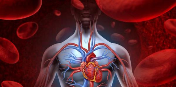 Factorii care determina aparitia si agravarea insuficientei cardiace Factorii care determina aparitia si agravarea insuficientei cardiace