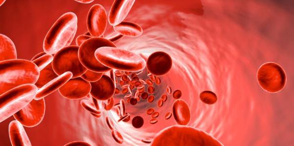 Leucemia - simptome si tratament Leucemia - simptome si tratament