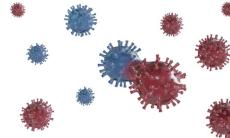 Cele 4 mutatii ale coronavirusului care ingrijoreaza  lumea. Ce stim pana acum si cat de periculoase sunt pentru oameni?