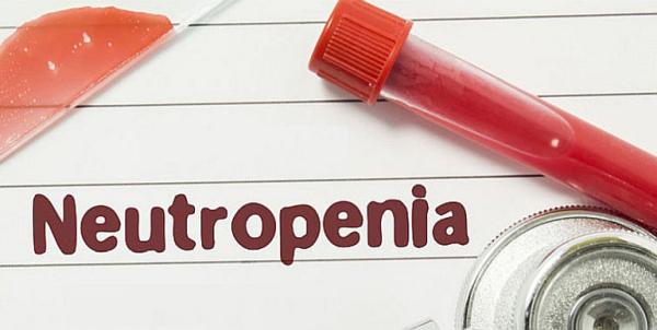 Neutropenia predispune organismul la infectii Neutropenia predispune organismul la infectii