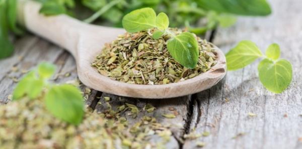 Oregano - 6 beneficii bazate pe dovezi Oregano - 6 beneficii bazate pe dovezi