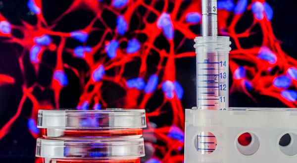 Recoltarea celulelor stem la nastere: oportunitate biologica pentru sanatatea copilului Recoltarea celulelor stem la nastere: oportunitate biologica pentru sanatatea copilului