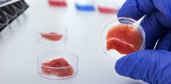 Riscurile ascunse ale consumului de carne de porc Riscurile ascunse ale consumului de carne de porc