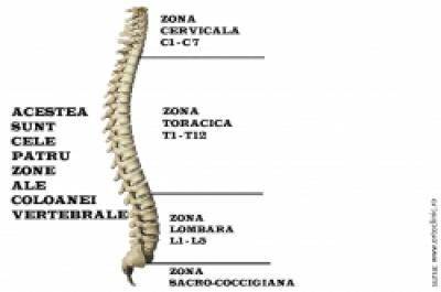 Durerile de mijloc afecteaza jumatate din organism