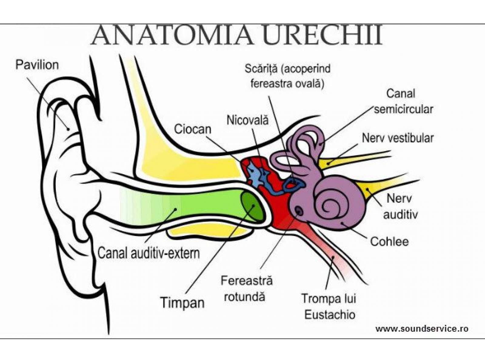 Soundservice - 27-07-2012_14-50-27.jpg