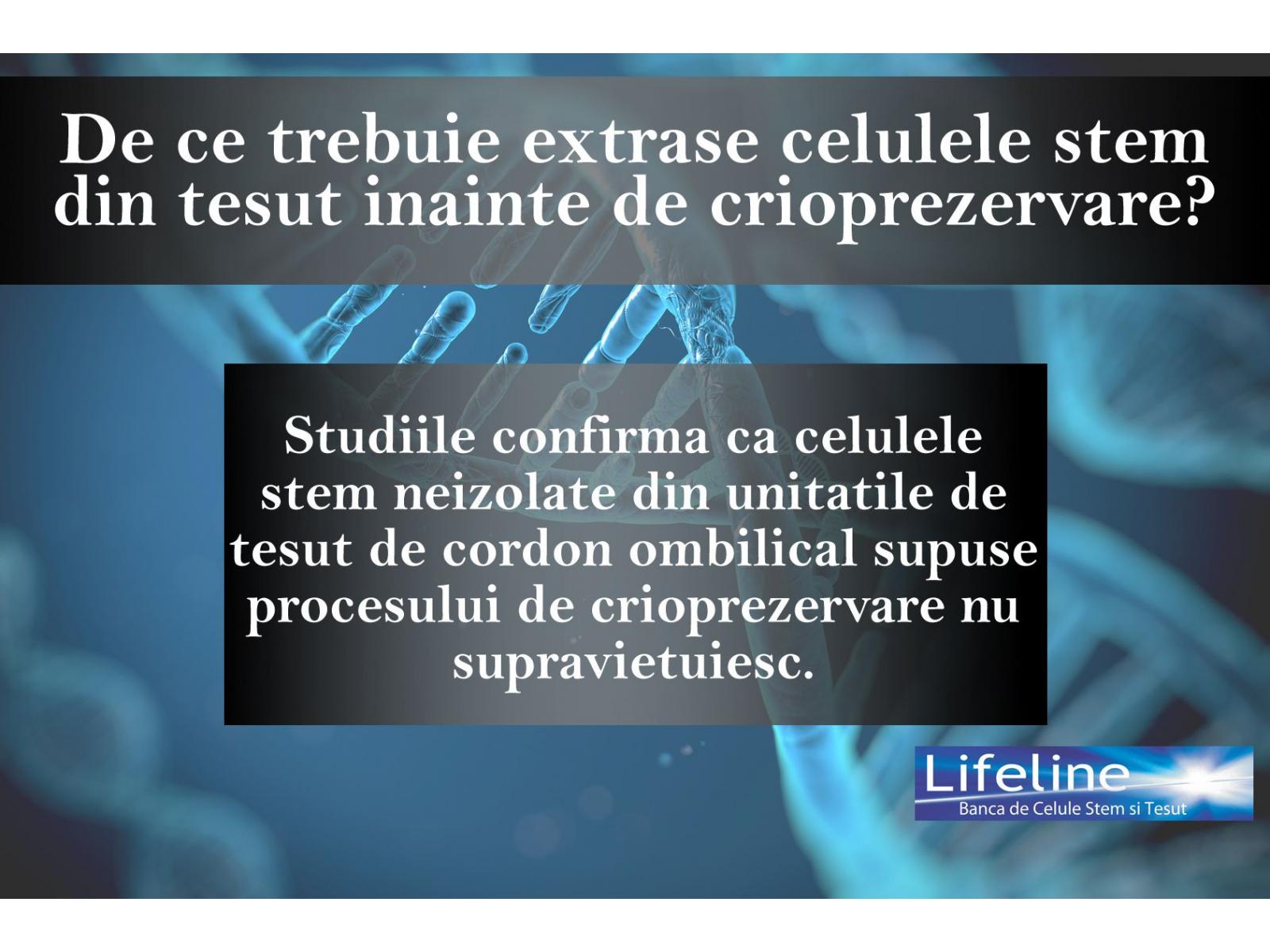 Lifeline Romania - extragerea_celulelor_stem.jpg