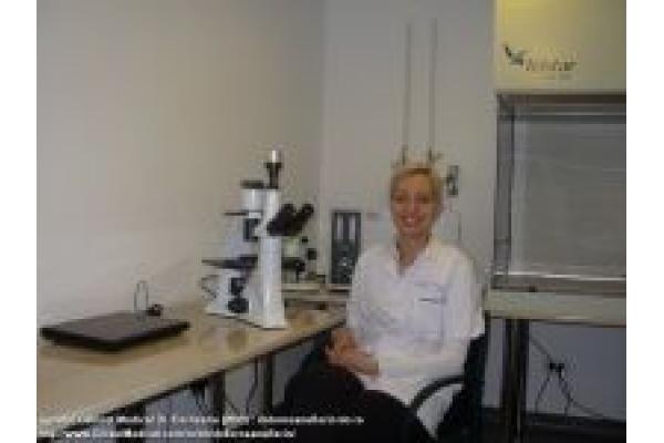 GYNATAL -CENTRU DE REPRODUCERE UMANĂ ASISTATĂ - drdorneanuflorin-tm-ro_x_gynatal-cabinet-medical-dr-dorneanu_00001.jpg