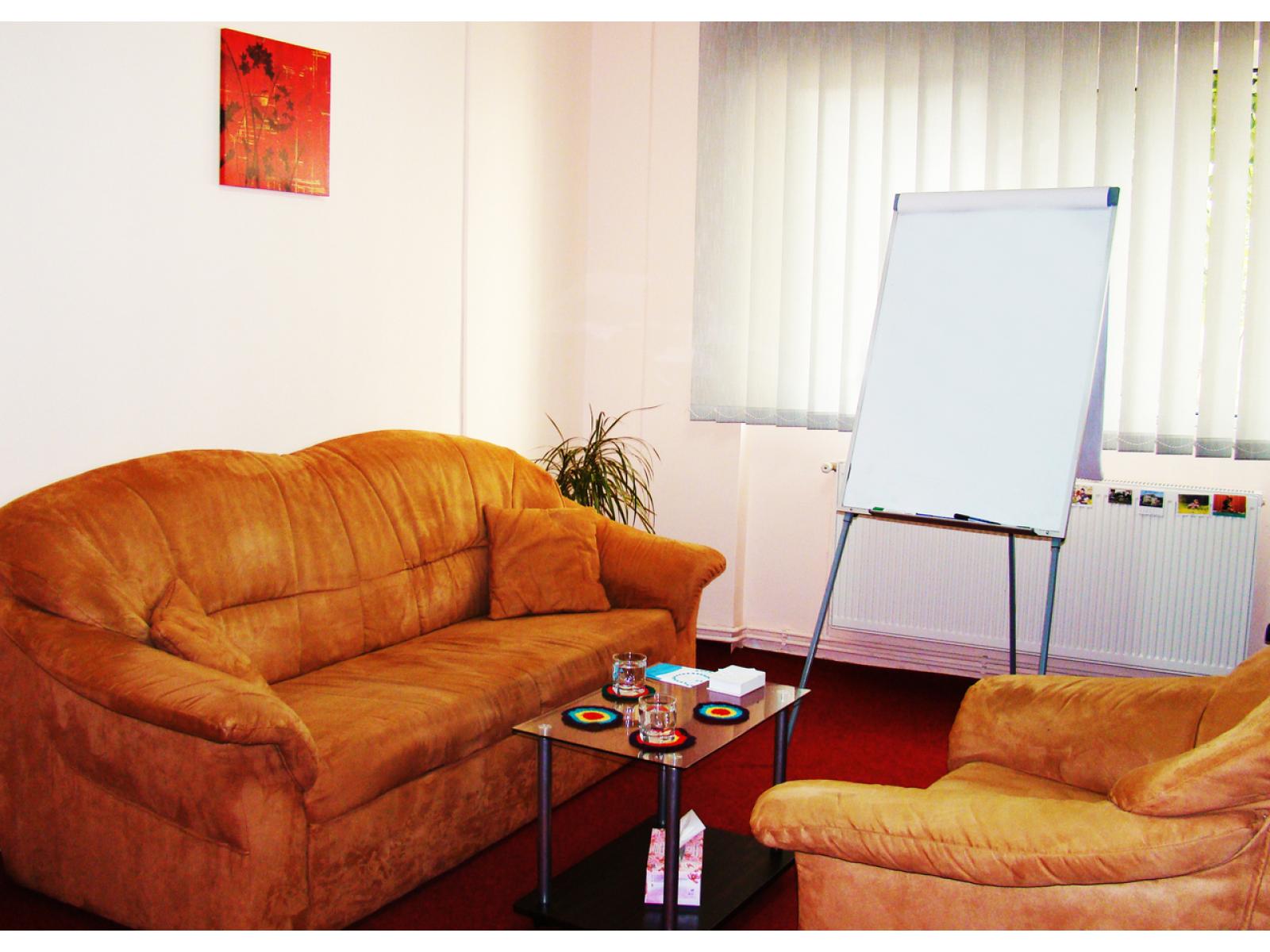 Cabinet de psihoterapie Ioana Nemeti-Pasca - 4.jpg