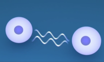 Imunitatea(Autoimunitatea)-tratamente moderne cu medicina integrativa-energo-informationala.