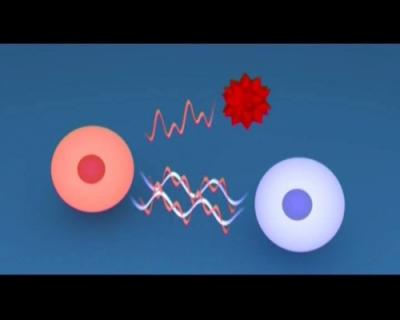 Boala o expresie a dereglarii celulare