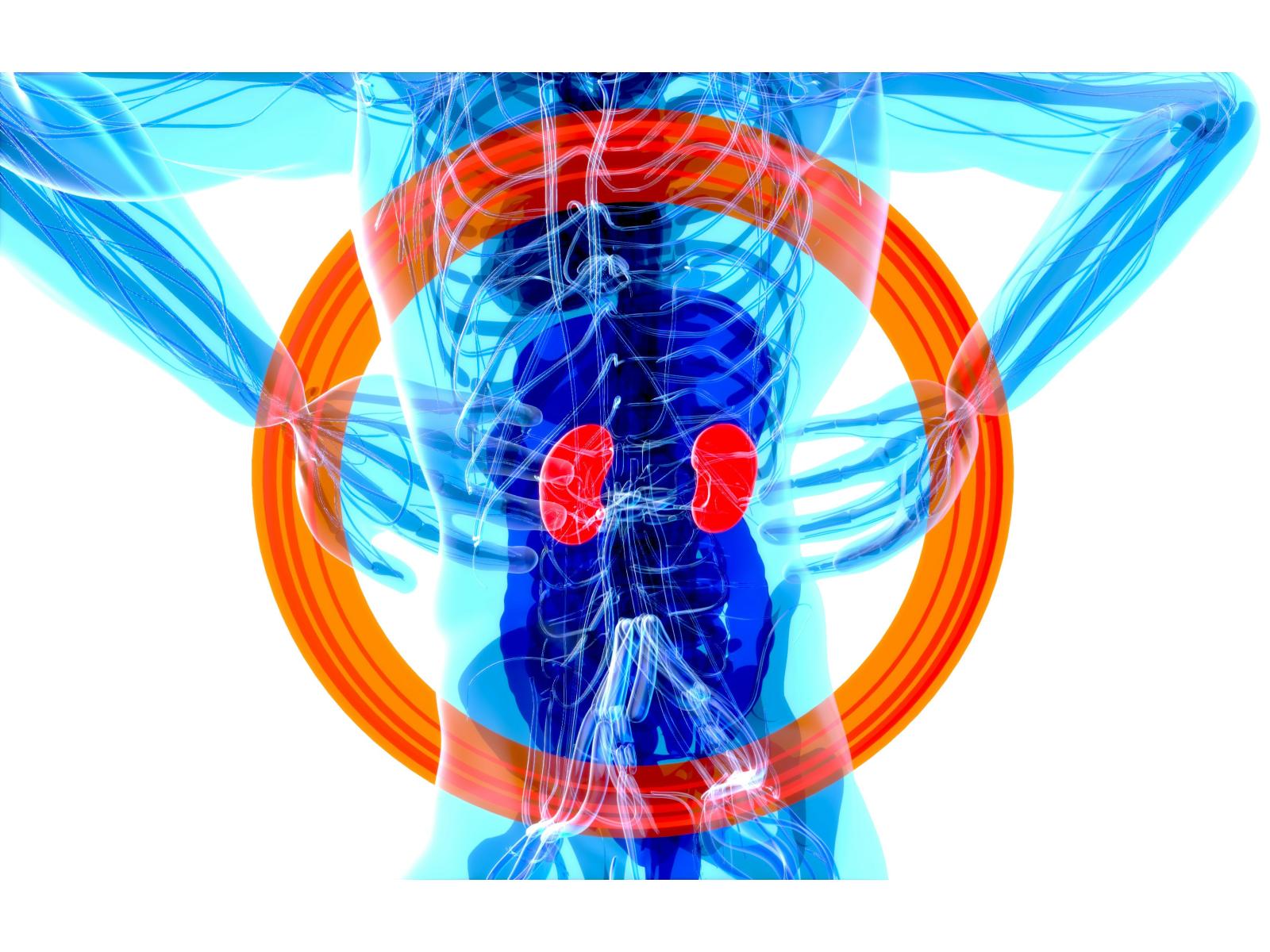 Cabinet medical nefrologie - julien-tromeur-_zkb2-BXoTk-unsplash.jpg