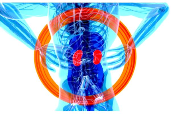 Cabinet medical nefrologie - julien-tromeur-_zkb2-BXoTk-unsplash.jpg