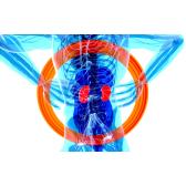 Cabinet medical nefrologie