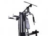 Aparat multifunctional cu stepper AB Fit 