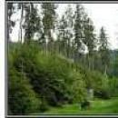 Fotografie Dr. Maria Monica Bejan