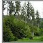 Fotografie Dr. Maria Monica Bejan