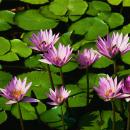 Fotografie Dr. Iulia- Andreea Mihalcut