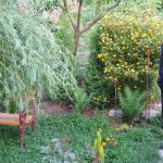 Fotografie Dr. Alexandru Schiopu