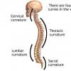 Deviatiile patologice ale coloanei vertebrale