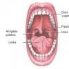 Glosodinia - senzatia de arsura a cavitatii bucale