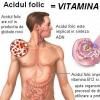 Suplimentele de acid folic previn malformatiile congenitale