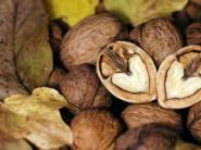 Nucile si beneficiile lor uimitoare pentru creier si organism