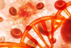 Ce este si cum se manifesta anemia aplastica?