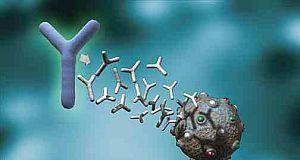 Sistemul imunitar al organismului - anticorpii