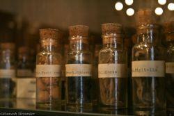 Homeopatia, un aliat eficient al tuturor