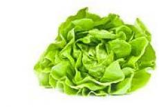 Salata verde, beneficii pentru sanatate