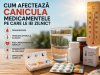 Cum afecteaza canicula medicamentele pe care le iei zilnic?