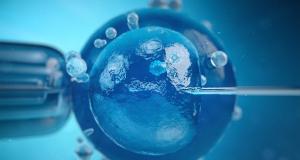 Recoltarea celulelor stem din cordonul ombilical: o decizie care nu suporta amanare 