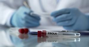 Ebola - cum se poate impiedica raspandirea bolii?