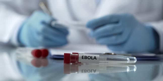 Ebola - cum se poate impiedica raspandirea bolii?